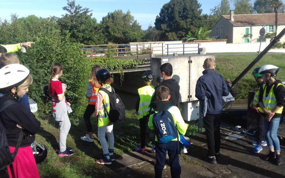 Sortie vélo des 6e à Coulon